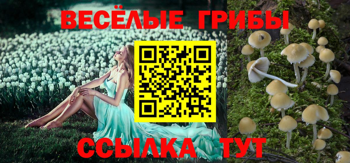 как найти наркотики  Вход с VPN  Нягань  Псилоцибиновые грибы MAGIC MUSHROOMS 